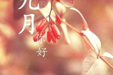探秘：2004年7月4日出生者的命格分析与人生运势