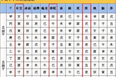 木命者的命理解析：不同木命的特点与差异
