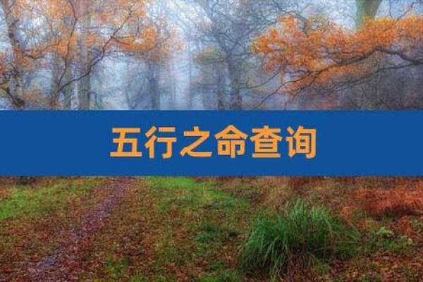 平地木命孩子命理缺什么？探究木命之道，助力成长之路！