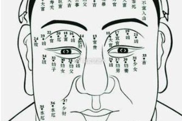 男命带双支，命格分析与运势探讨