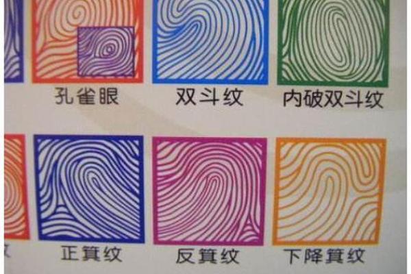女人手指粗短的命运解析：暗藏的性格与生活启示