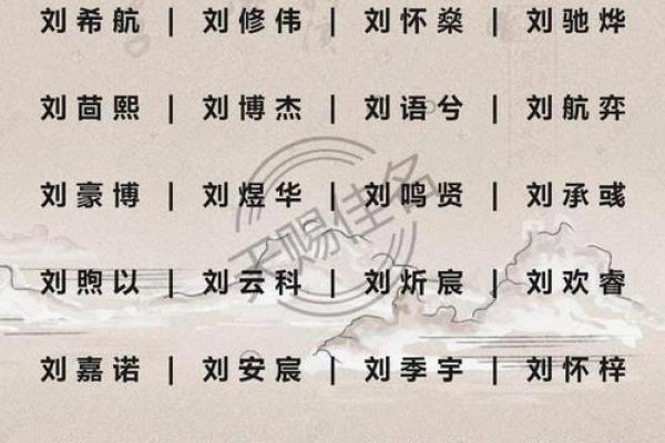 探索木鼠金命：如何为新生儿取一个寓意美好的名字