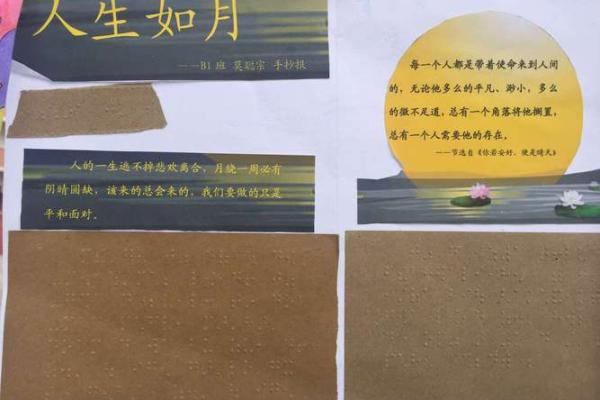 月华如水，心有灵犀——探寻生活中的那些美好瞬间