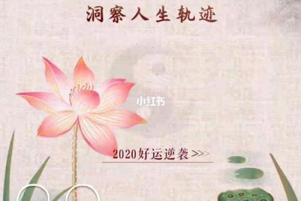 探索农历3月20的命运与人生轨迹：如何利用这一时段的力量