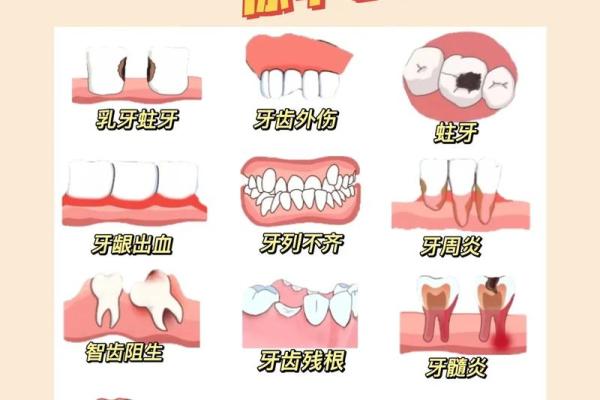 门牙不齐的人生与命运：从牙齿看人生的精彩与挑战