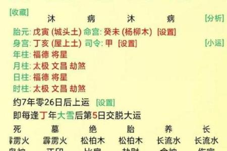 探索男命中的两个食神:解码命理与人生之路