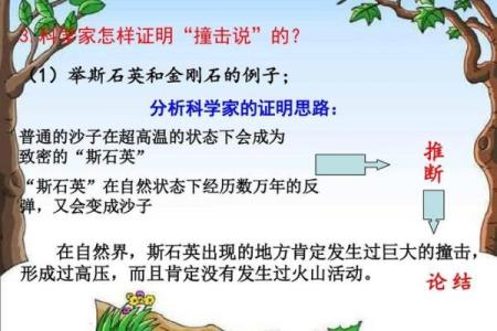 《命弯道：被遗弃的真相与未解的悬念》