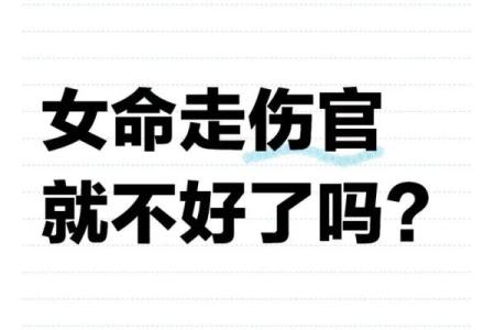 女命的伤官：她的魅力与挑战