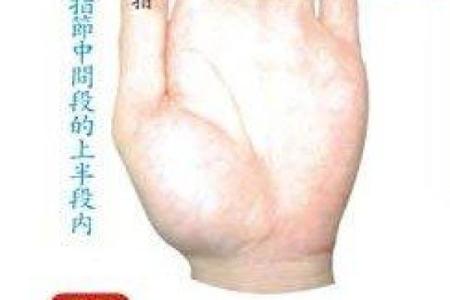 六九年属鸡人的命运解析:运势、性格与人生智慧
