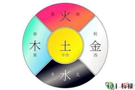 平地木命孩子命理缺什么?探究木命之道,助力成长之路!