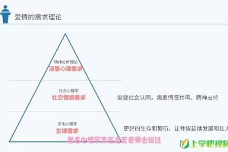 你为什么要我的命?探究爱与失去的深层心理