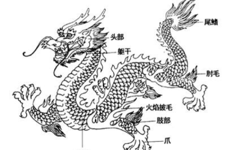 命理师不得吃牛肉的深层原因与文化解读