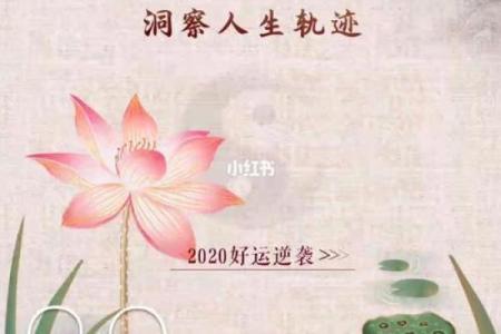 探索农历3月20的命运与人生轨迹:如何利用这一时段的力量