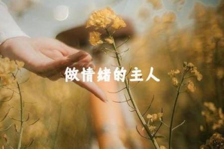 探秘炉中火命兔：运势、性格与人生之路