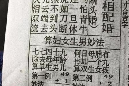 木猪命与哪些命相配?探寻最佳命理组合的秘密!
