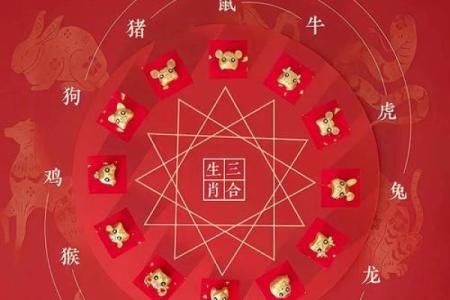 女命最难结婚的八字分析：命理中的禁忌与破解