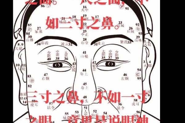 命理解读：为何有的人命里似乎没有子女？