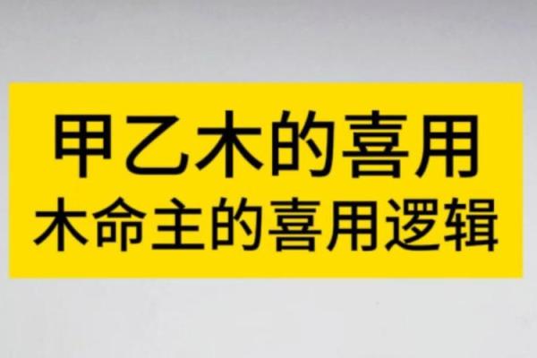 探析命理学：甲木命的特性与人生启示