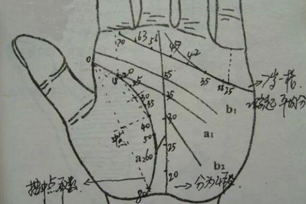 命理分析：揭示你的命运奥秘与心灵成长之路