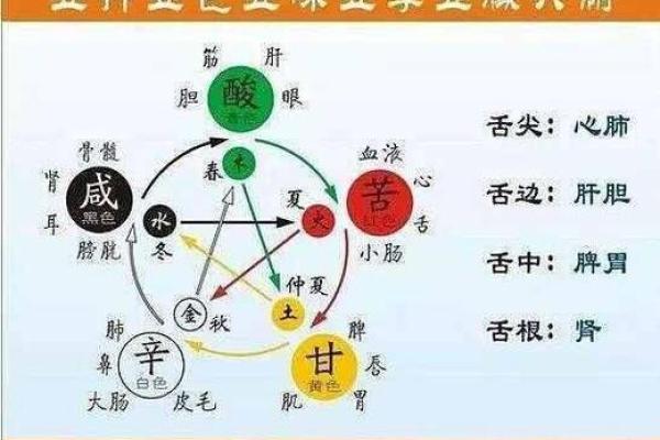 探秘：丽的名字蕴含的五行命理与人生智慧