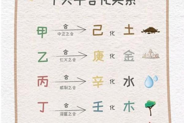 探索坤命卯相之秘密：揭示命理的深奥与奇妙