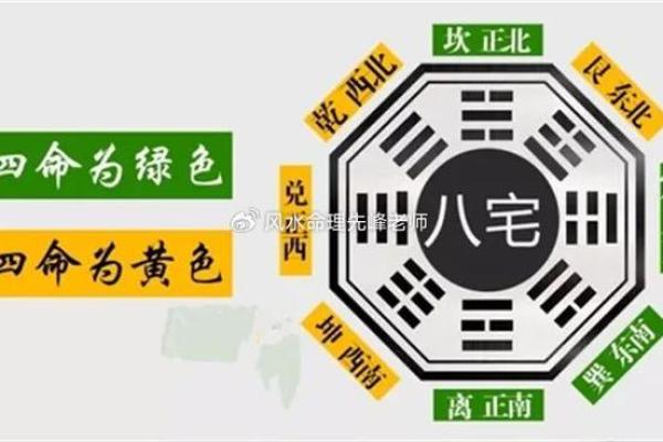探索坤命卯相之秘密：揭示命理的深奥与奇妙