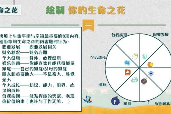 命理探索：如何从古老智慧中找到自我平衡与人生方向