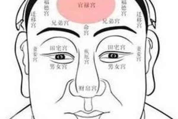 探索闰五月初三的命理密码，解密人生的财富与运势！
