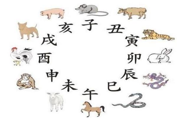 命局缺陷与生肖运势的深度解读