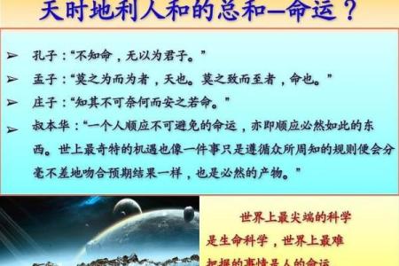 探讨命理中的“命”字：命运、人生与宇宙的深刻联系