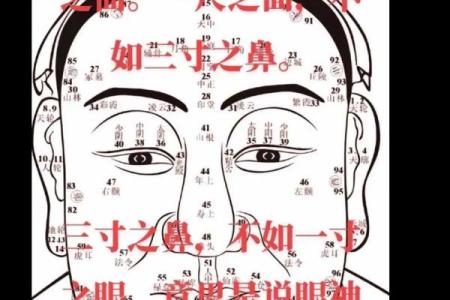 命理解读：为何有的人命里似乎没有子女？