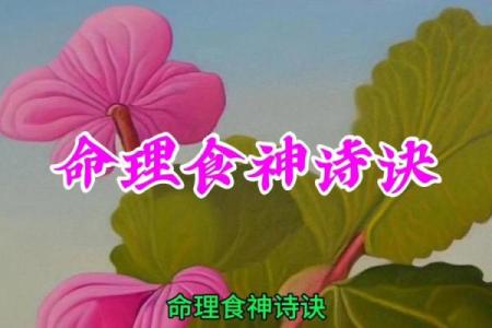 命理探秘:带食神的意义与影响分析