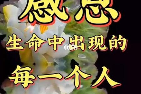 探索命里自带的生活智慧:如何解读生命中的每一种符号