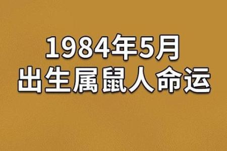 浅谈1984年男生的命运与性格特征