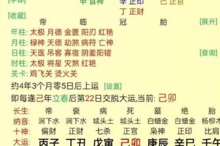 命局财旺杀旺的深层解析与人生启示