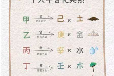 探索坤命卯相之秘密:揭示命理的深奥与奇妙