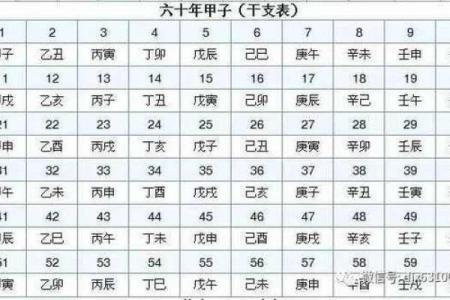 探讨命理八字中的六害,揭秘命运中的隐秘关联