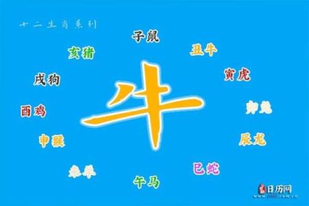 农历7月初六出生的人命运解析：神秘的个性与人生方向