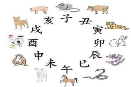 命局缺陷与生肖运势的深度解读
