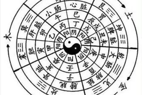 探讨女命月柱戌亥的奥秘与命理解读