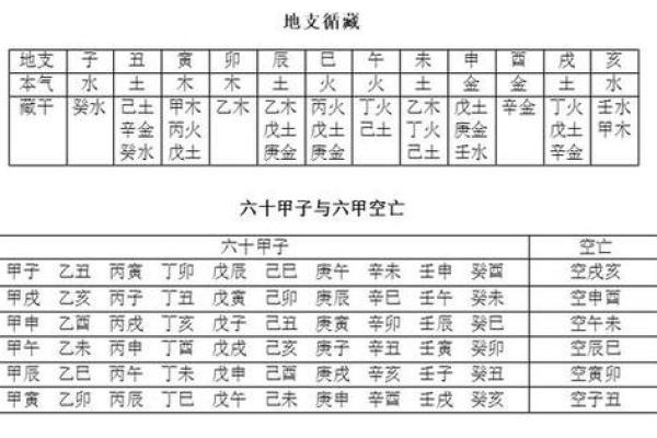 女命4两1的命理解读：探索命运的奥秘与人生的选择