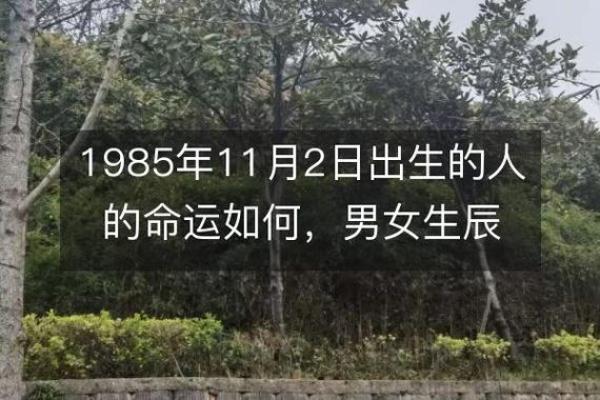 农历11月出生的女宝宝命运解读：看如何影响她的未来人生
