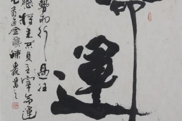 探索命运的奥秘：你是否相信它的力量？