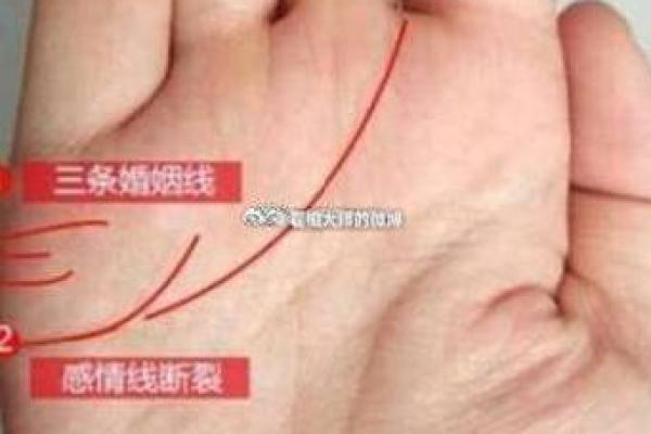 看手相揭秘：双妻命的真正含义与人生启示