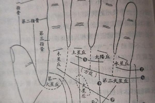 命理分析：命理缺什么就是什么？揭秘命运的奥秘与影响力