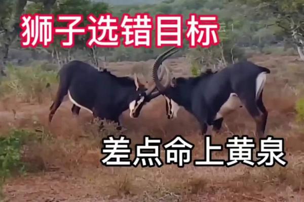 命理差点要了命，破解运势逆转之道！