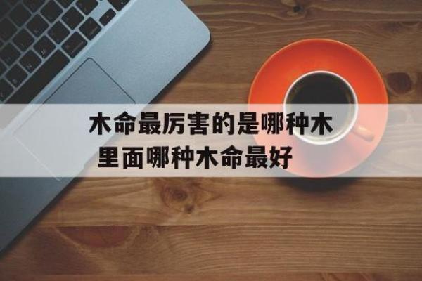 揭秘木命人的职业选择与行业适合性分析