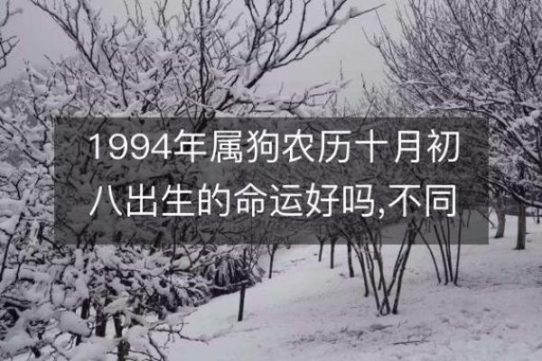 1994年出生的你，属于什么命？