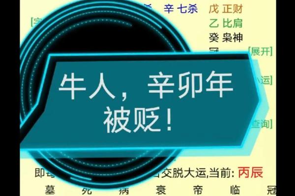深入解读命理八字中的天克地冲现象及其对人生的影响