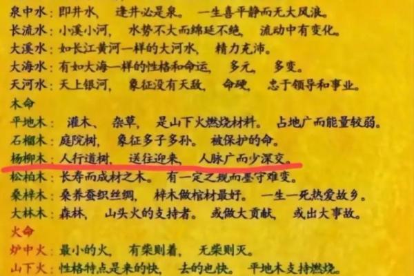 女火命与男命的最佳配对：探寻命理的和谐美好